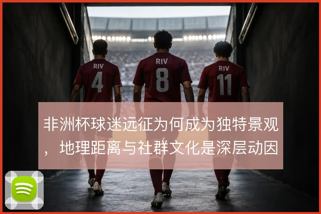 非洲杯球迷远征为何成为独特景观，地理距离与社群文化是深层动因